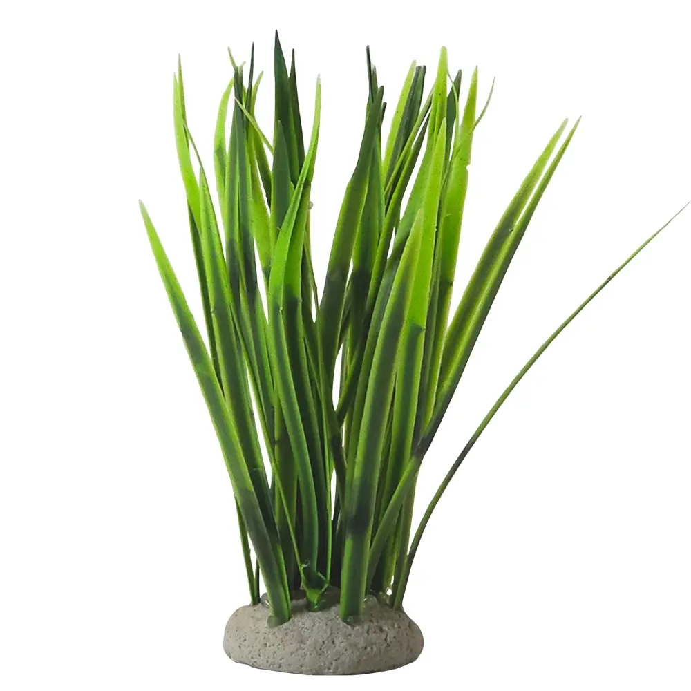 Décoration pour aquarium Nobby Pet Vallisneria