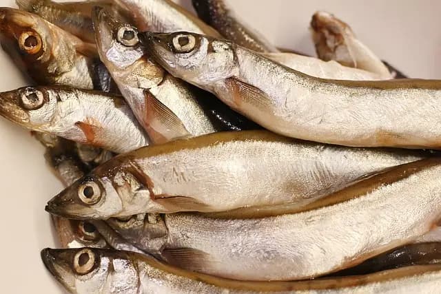 10 Recettes de Poisson à Griller pour Épater Vos Invités
