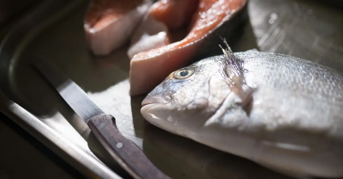 Recettes de Poisson Faciles pour Épater vos Invités