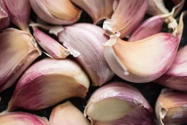 Recettes de Poisson à la Plancha : 5 Variantes Savoureuses à Tester