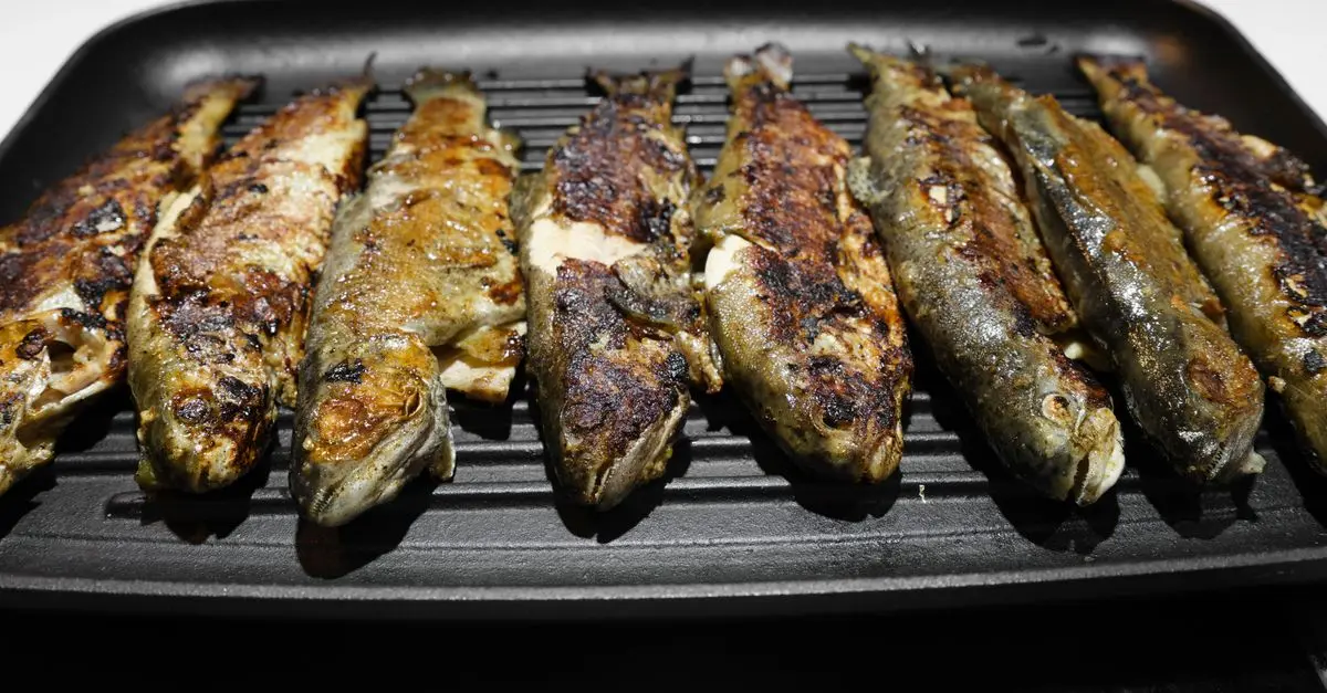 7 Recettes de Poisson à la Plancha pour Épater vos Invités