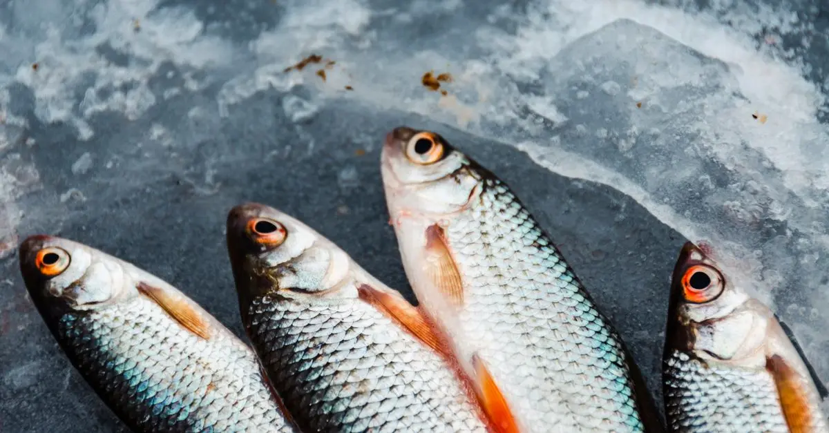 Comment Préparer un Savoureux Curry de Poisson