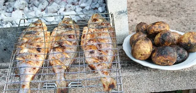 Comment Préparer le Poisson à la Plancha : Guide Pratique