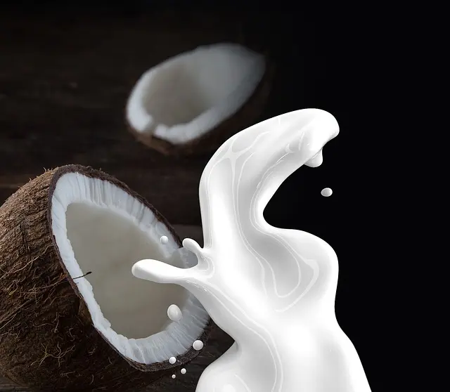 Recettes de Poisson au Lait de Coco : Saveurs Exotiques