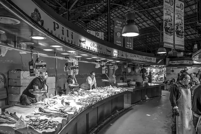 Comment Bien Choisir son Poisson au Marché : Guide Pratique