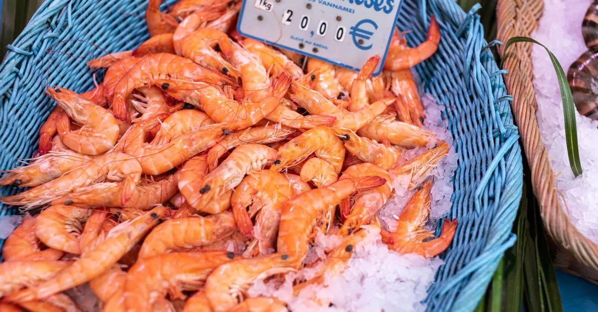 10 Recettes de Poisson Faciles à Préparer en Moins de 30 Minutes
