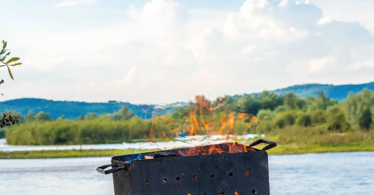 Conseils pour Cuire Parfaitement le Poisson sur un Gril