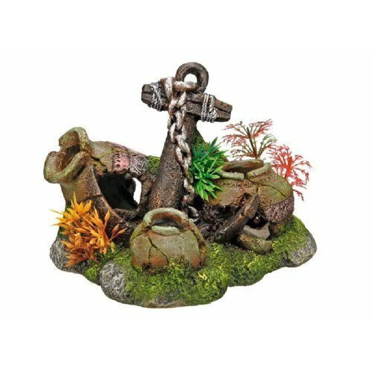Nobby Pots et ancre aquarium