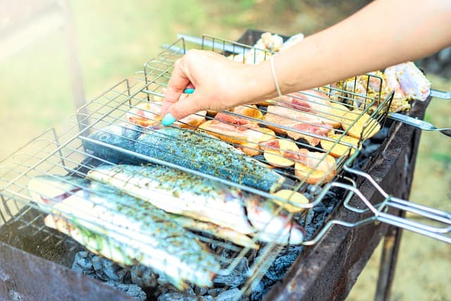 Recettes de Poisson à la Plancha : 7 Variétés à Tester