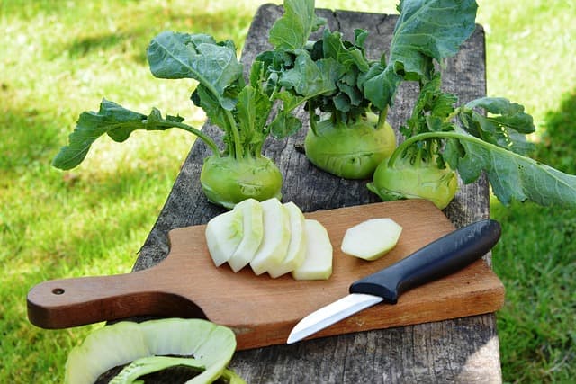 5 Recettes de Poisson à la Plancha pour Épater vos Invités