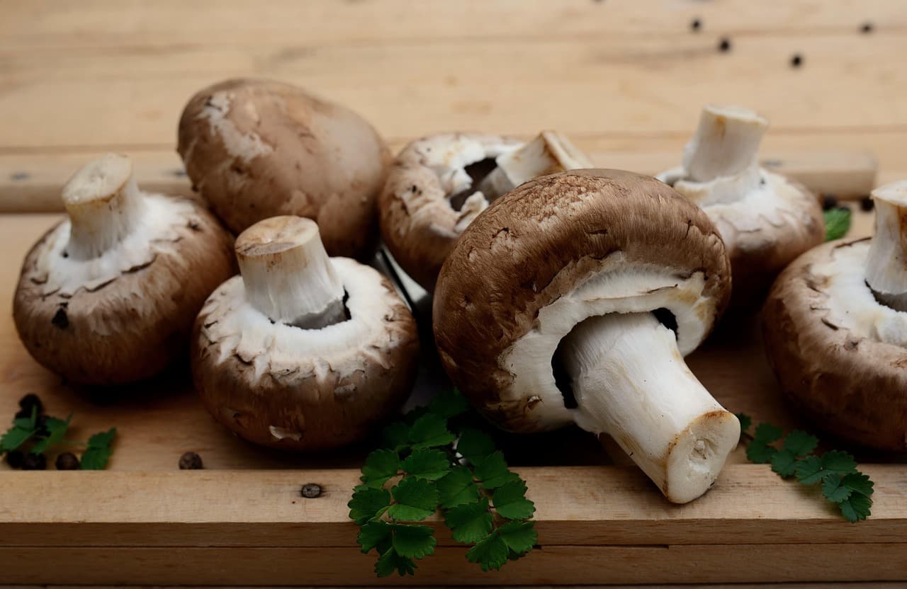 10 Recettes de Poisson Faciles à Réaliser en Famille