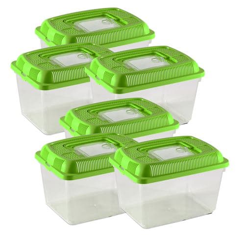 Lot 6 aquarium pour poissons,conteneur pour petits animaux,boîte rectangulaire de transport,terrarium en plastique transparent avec couvercle vert-Longueur 24 x Profondeur 17 x Hauteur 16 cm- JUANIO -