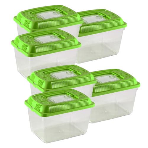 Lot 6 aquarium pour poissons,conteneur pour petits animaux,boîte rectangulaire de transport,terrarium en plastique transparent avec couvercle vert-Longueur 18x Profondeur 12 xHauteur 13.4 cm- JUANIO -